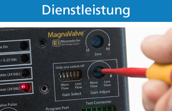 Kategorie Dienstleistung