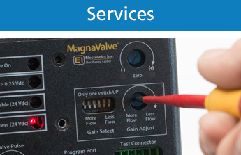 category Services