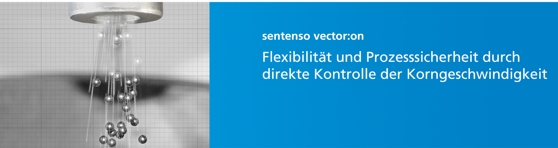 sentenso_vectoron_D